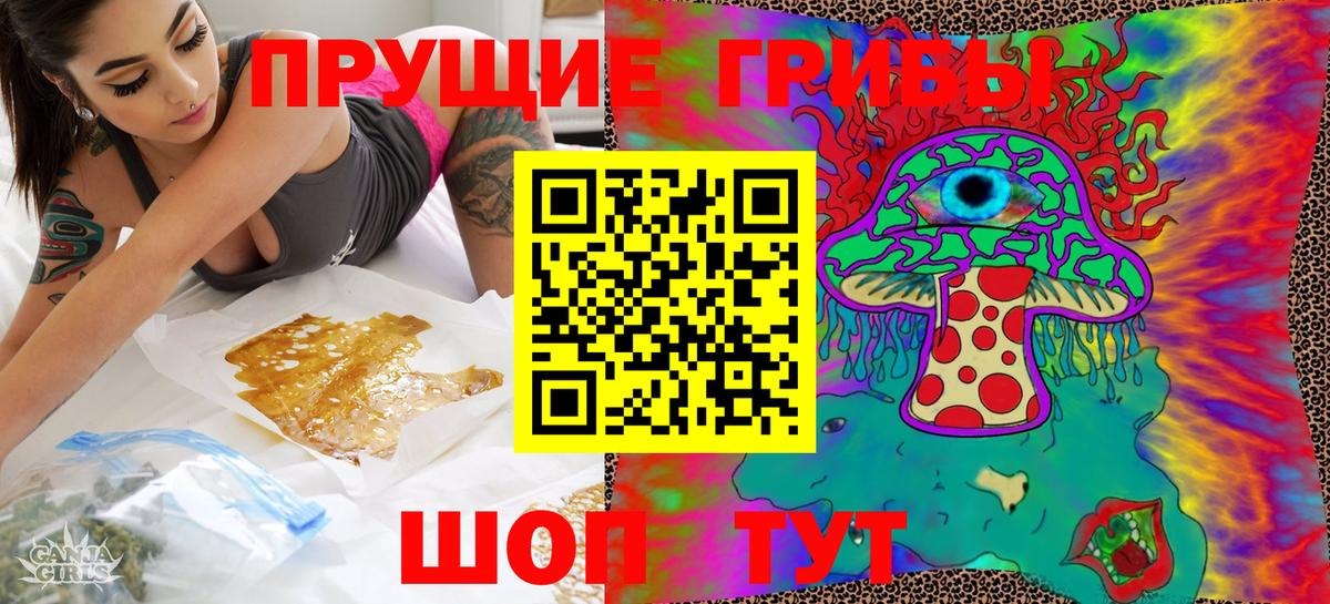 Псилоцибиновые грибы Psilocybe Дзержинск