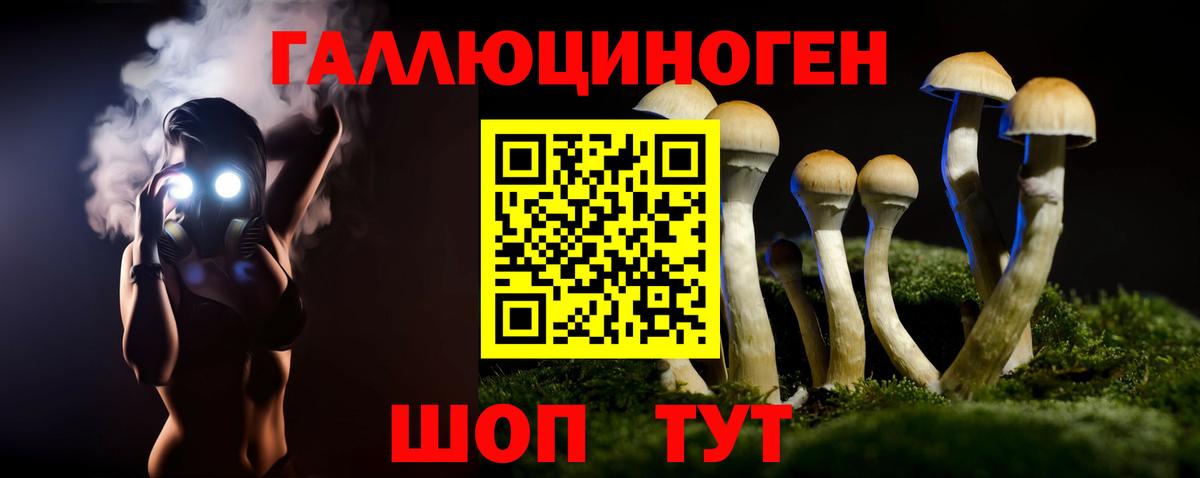 Псилоцибиновые грибы ЛСД  как найти закладки  Вход с VPN  Дзержинск  Псилоцибиновые грибы мухоморы 